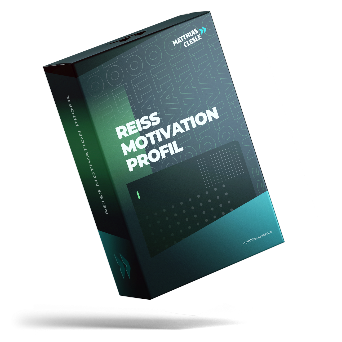 Reiss Motivation Profil