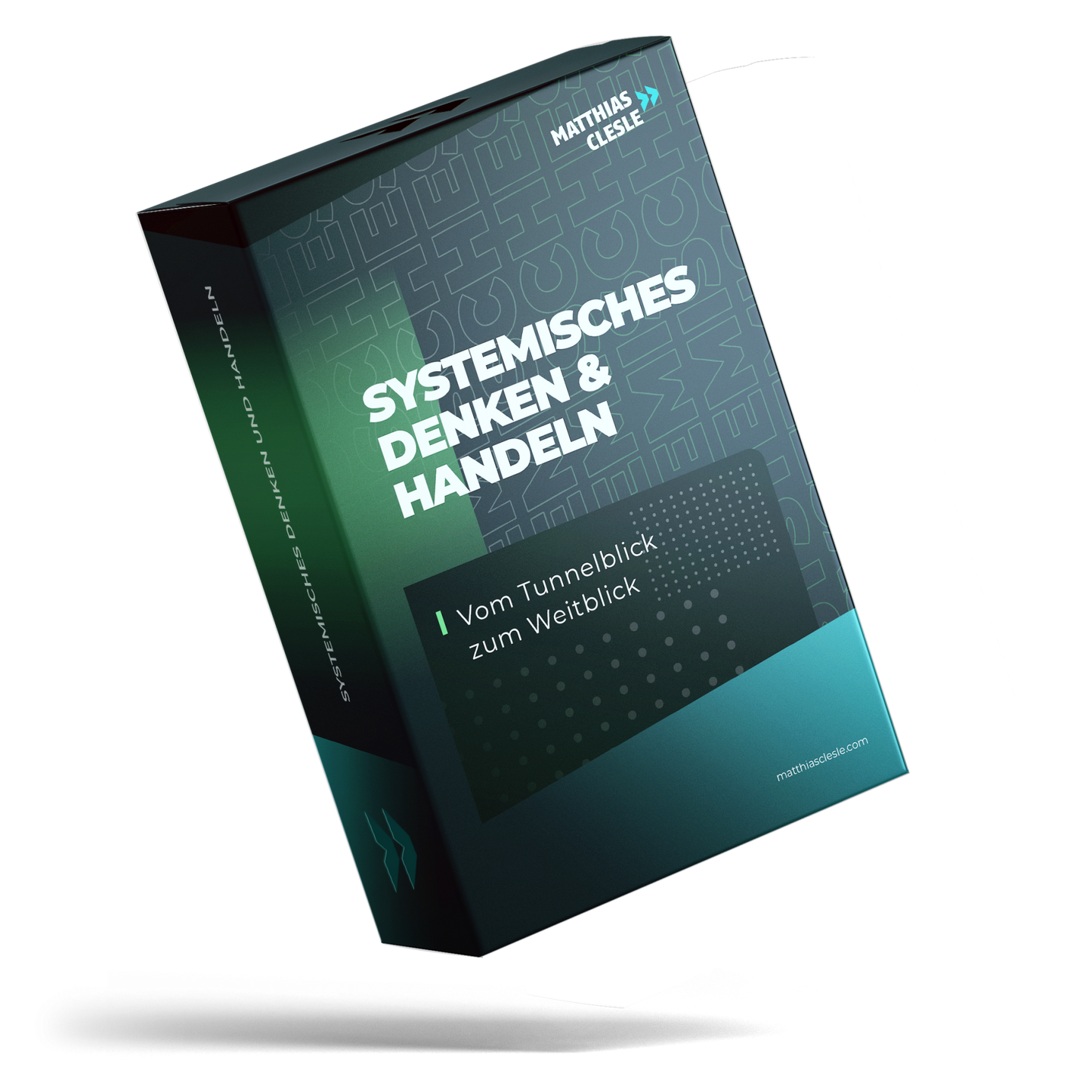 Systemisches Denken & Handeln